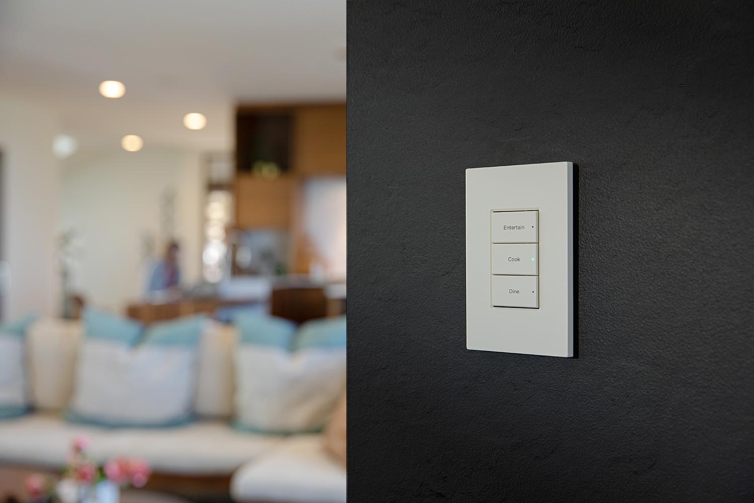 Smart wall keypad with labeled buttons for Entertain, Cook, and Dine on a black textured wall
